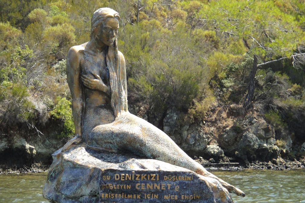 bodrum gokova
